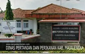 Bantuan Benih Kedelai untuk Kelompok Tani di Majalengka Gagal Mutu