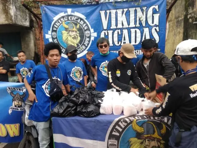 viking cicadas (1)