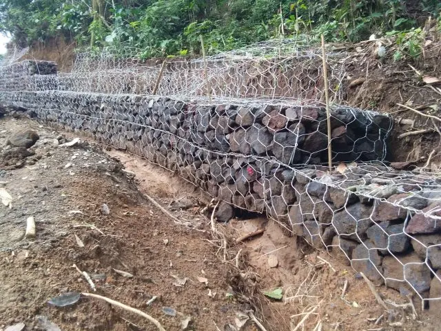 peningkatan3