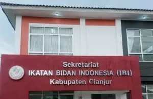 Ketua IBI Kabupaten Cianjur Wujudkan Bidan Profesional