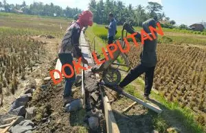 Program Percepatan Peningkatan Tata Guna Air Irigasi (P3-TGAI) Kelurahan Bojongkantong Diduga Jadi Ajang Korupsi