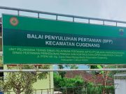 Kinerja Kepala UPTD Pertanian Wilayah Warungkondang, Cugenang Patut Dijadikan Percontohan
