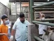 BKPRMI dan HIPMI Peduli Kerjasama dengan Sapi.Id Bikin Program Kurban Untuk Ummat