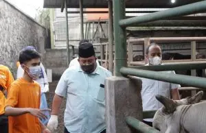 BKPRMI dan HIPMI Peduli Kerjasama dengan Sapi.Id Bikin Program Kurban Untuk Ummat