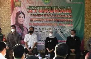 Bupati Indramayu Nina Agustina Berharap Mangga Indramayu, Dapat Menjadi Kekuatan Ekonomi Masyarakat Indramayu