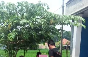 Peduli Anak Yatim, Wana Bisma Ketua Paguyuban Sundawani DPC kecamatan Cijambe, Bagikan Sembako
