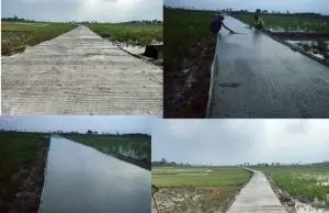 Pemdes Mulyasari Bangun Rabat Beton Jalan Desa Gunakan Banprov Jabar