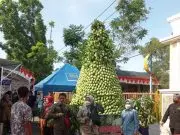festival Mangga dan UMKM Indramayu,Dijuluki Sebagai Daerah Penghasil Mangga Terbesar Di Indonesia
