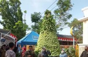 festival Mangga dan UMKM Indramayu,Dijuluki Sebagai Daerah Penghasil Mangga Terbesar Di Indonesia