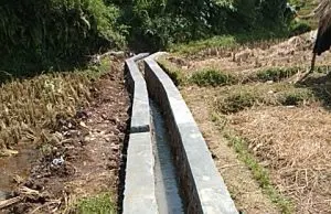 Program RJIT dari Kementerian Pertanian, sangat dirasakan manfaatnya oleh kelompok Tani Sabilulungan