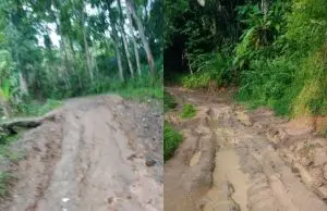 Masyarakat Desa Sukaraharja, Keluh’kan Jalan Semakin Memburuk dan Rusak, Yang Takunjung di Perbaiki