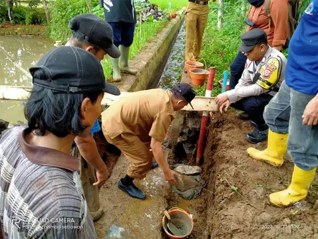 Petani Awiluar