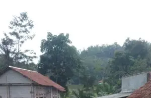 Kepala Desa Sukamakmur Anggrakan DD Tahap I Bangun Inrastruktur Jalan Lingkungan