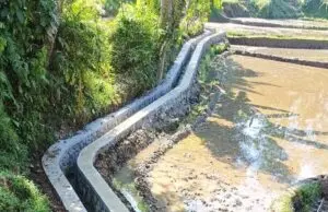Program P3A-TGAI di Cianjur Diduga Jadi Bancakan Oknum