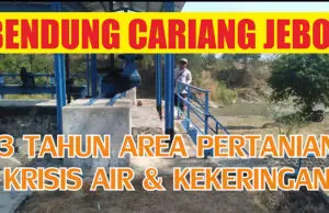 Bendung Cariang Jebol, 3 Tahun Area Pertanian di Ujungjaya Mengalami Lumpuh Total