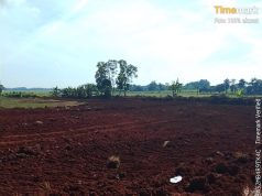 Soroti Maraknya Galian Tanah Merah Ilegal di Lahan Tebu, Ketua GAMPIL Minta Kejari Subang Turun Tangan