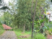 Diduga Terbengkalai, Proyek Pengaspalan Jalan Lingkungan di Kampung Cikato Disorot Warga