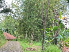 Diduga Terbengkalai, Proyek Pengaspalan Jalan Lingkungan di Kampung Cikato Disorot Warga