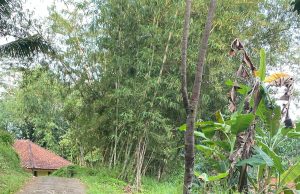Diduga Terbengkalai, Proyek Pengaspalan Jalan Lingkungan di Kampung Cikato Disorot Warga