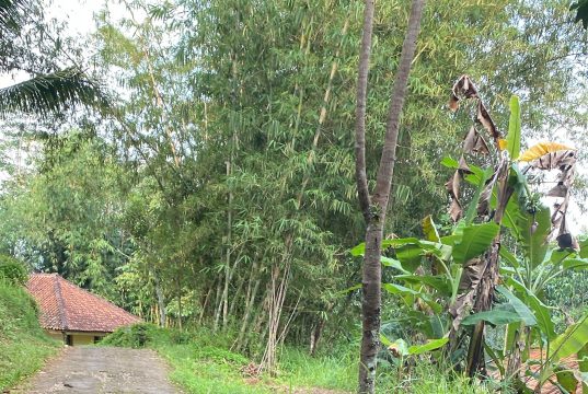 Diduga Terbengkalai, Proyek Pengaspalan Jalan Lingkungan di Kampung Cikato Disorot Warga