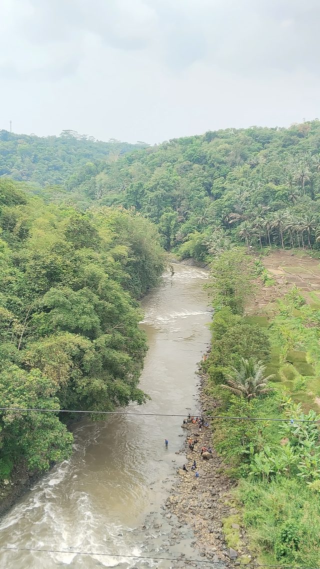 IMG-20260522-WA0039