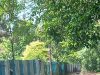Dinas PUPR Subang Gercep Perbaiki Prasarana Jalan dan Saluran Air, Dukung Visi Subang Ngabrett