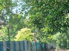 Dinas PUPR Subang Gercep Perbaiki Prasarana Jalan dan Saluran Air, Dukung Visi Subang Ngabrett